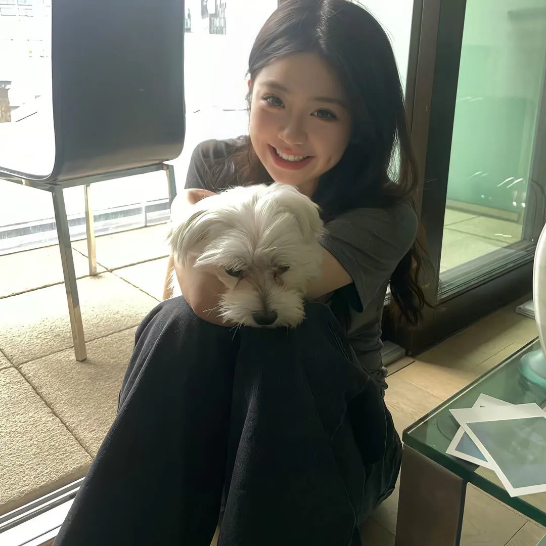 九鼎记之禹皇宝藏